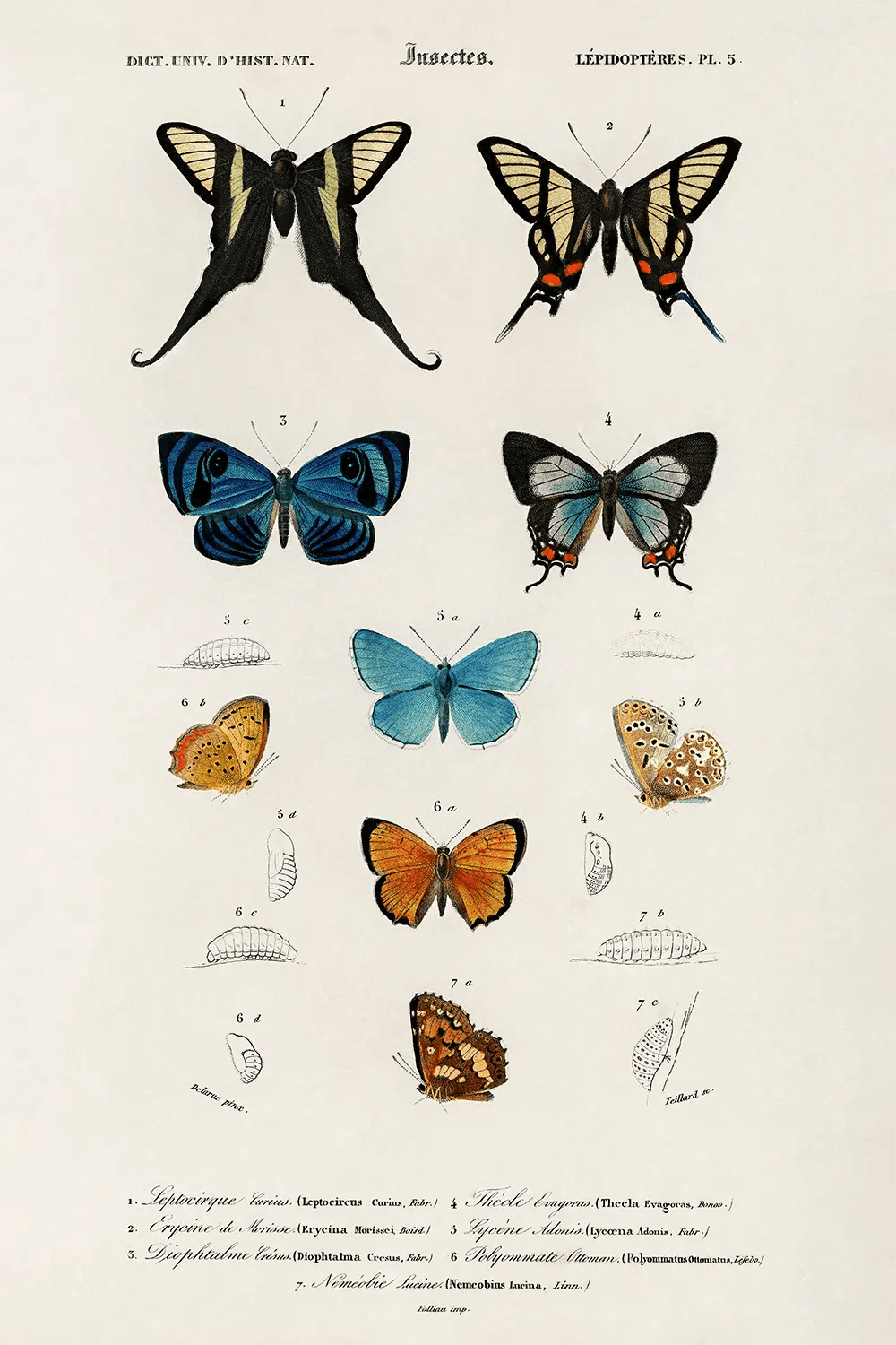 a group of butterflies sitting on top of each other
