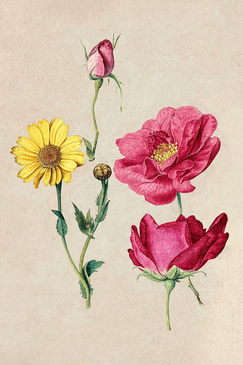 a painting of three flowers on a beige background