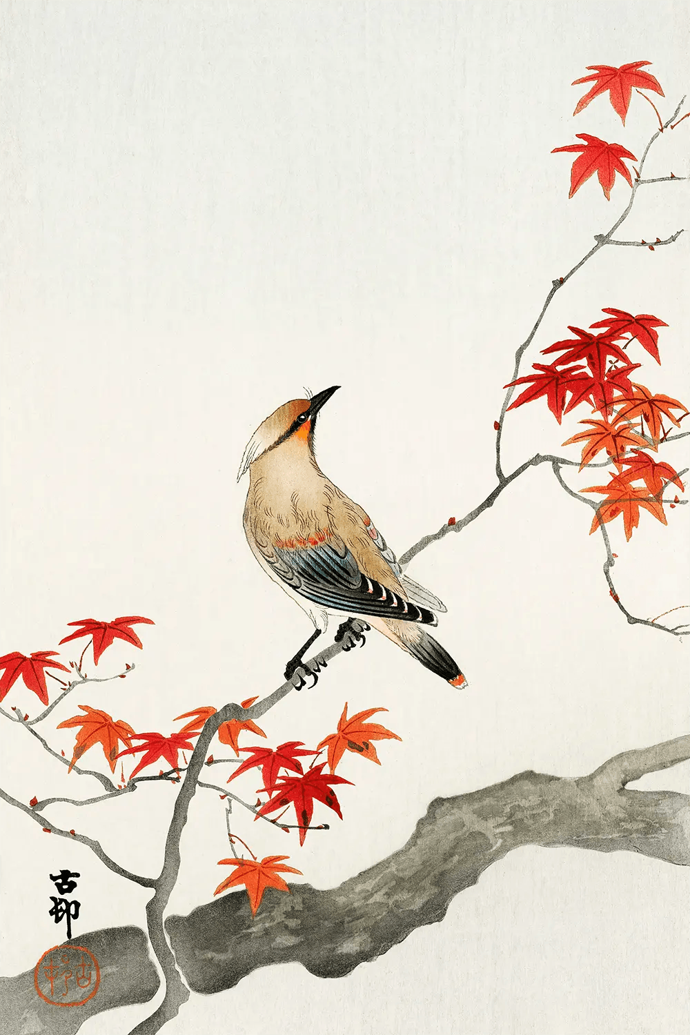 a bird sitting on a branch with red leaves