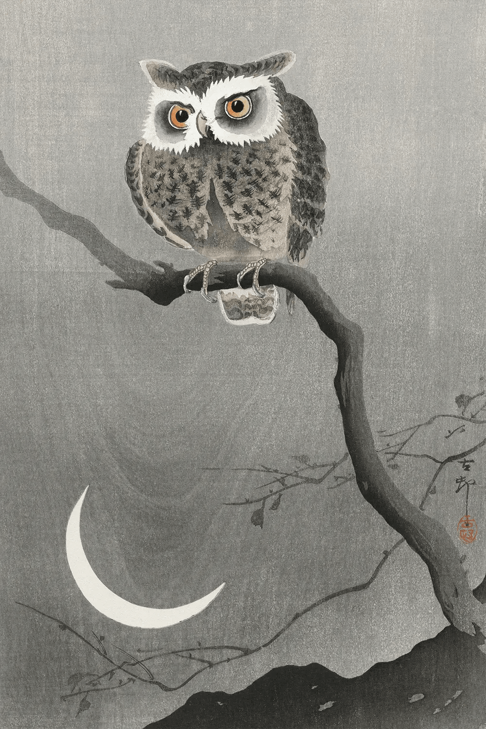 an owl sitting on a branch with a half moon in the background