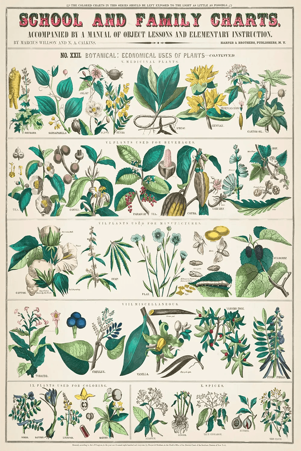 a poster of different kinds of plants and flowers