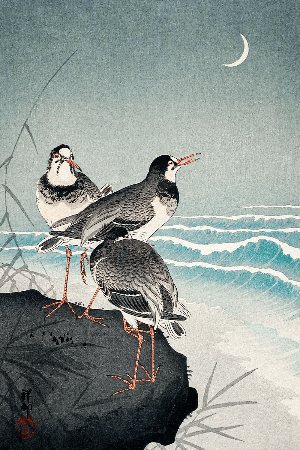 Snipes at the Shore (1926) - Sick Prints